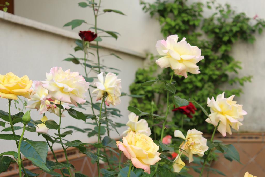 Apartamento Jardin De La Ribera. قرطبة المظهر الخارجي الصورة