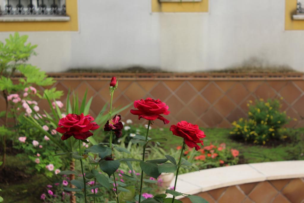 Apartamento Jardin De La Ribera. قرطبة المظهر الخارجي الصورة